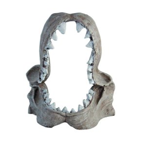 HAQUOSS SHARK SKULL - 9x6x11h cm